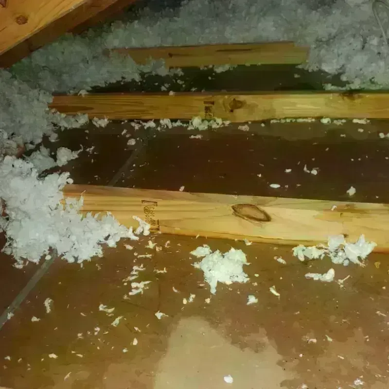 Attic Water Damage in Clearfield, UT