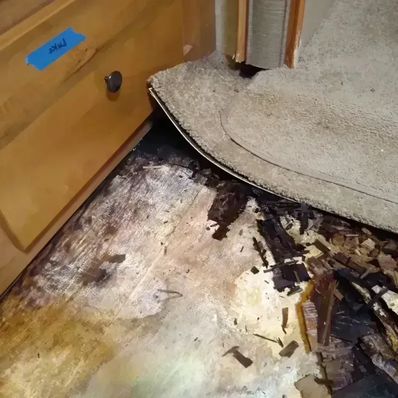 Wood Floor Water Damage in Clearfield, UT